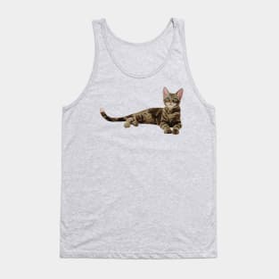 Cute Brown Tabby Kitten Tank Top